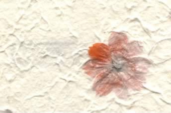 Garden Paper Orange Flower