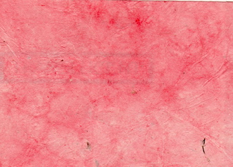 Lokta Paper Shrimp Pink