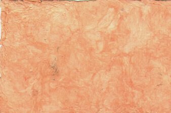 Bark Amate Paper Tangerine