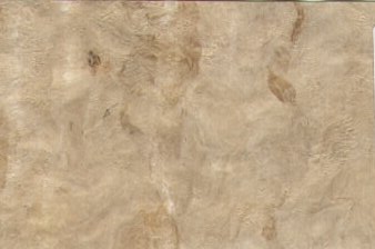 Bark Amate Paper Buckskin