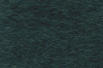 Echizen Washi Paper Forest Green Fiber