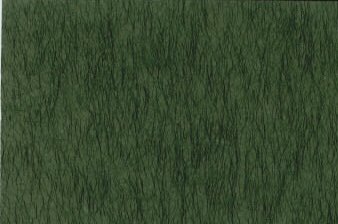 Echizen Washi Paper Green Fiber