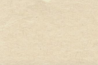 Echizen Washi Paper Ivory Fiber