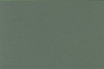 Tiziano Paper Gray Green