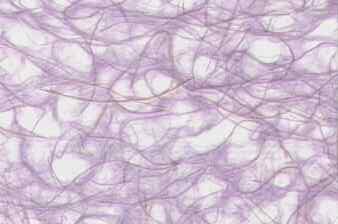 Ogura Lace Paper Lilac
