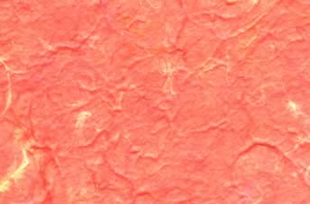 Mulberry Rough Paper Fire Orange