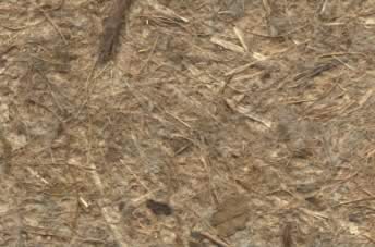 Birds Nest Paper Natural