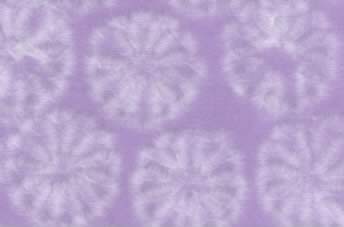 Tairei Paper Buttons Lavender