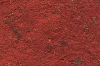 Birds Nest Paper Russet Red