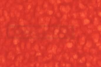Printable Lace Paper Red Orange