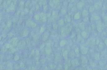 Printable Lace Paper Sky Blue Green