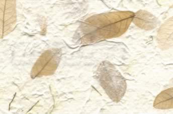 Raintree Leaves w Corn Hair Paper Natural