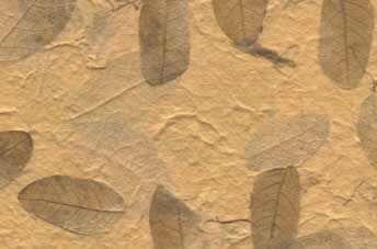 Raintree Leaves w Corn Hair Paper Yellow Ochre