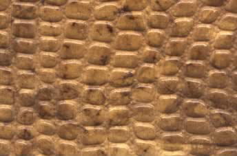 Embossed Reptile Paper Desert Gold