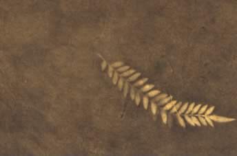 Lokta Sun Washed Fern Paper Gold & Brown