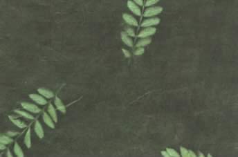 Lokta Sun Washed Fern Paper Palm Green & Forest