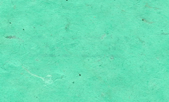 Lokta Paper Sea Green