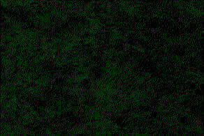 Lokta Paper Jungle Green