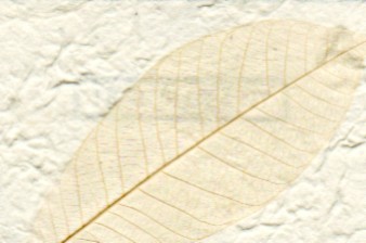Garden Paper Rubber Leaf Natural