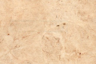 Bark Amate Paper Peanut Butter