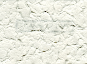 Crater Paper White