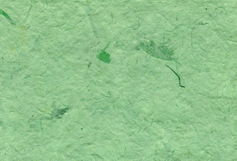 Salago Paper Caribbean Green