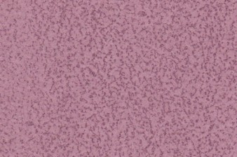Stationery Granite Pebble Paper Thistle