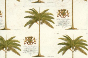 Rossi Print Paper Palm Trees