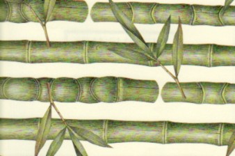 Rossi Print Paper Bamboo