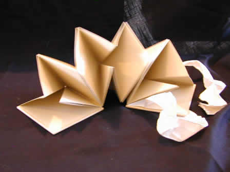 Fold Out Scrapbook Kraft
